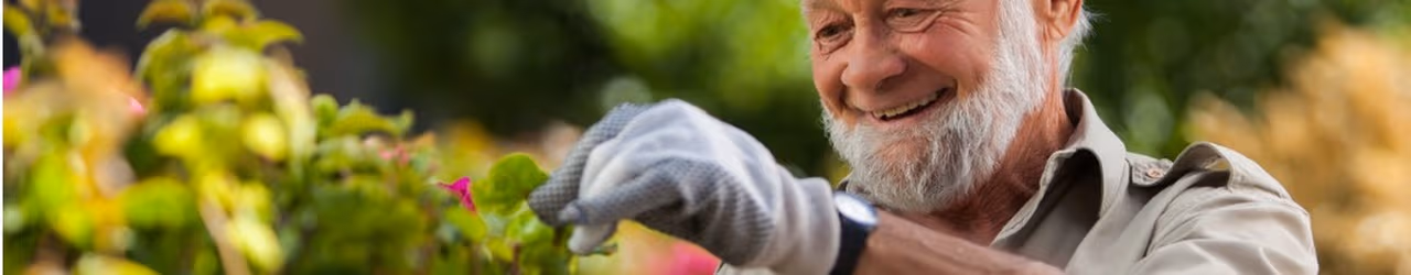 Home and Garden Maintenance
