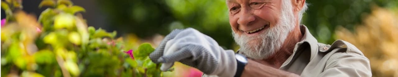 Home and Garden Maintenance